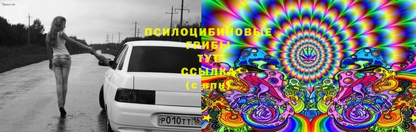 PSILOCYBIN Беломорск